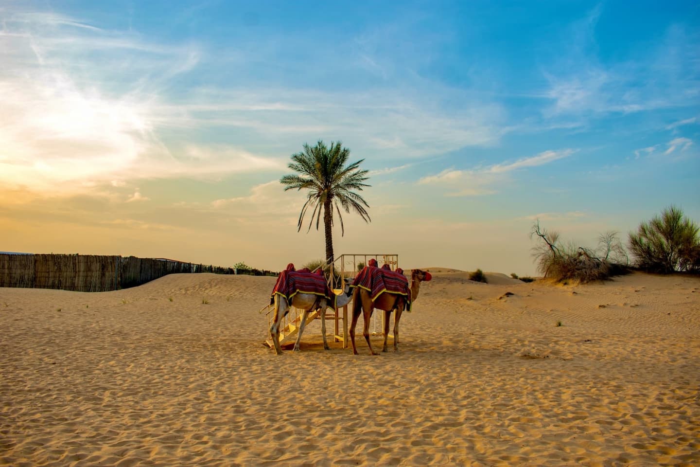 Deșert în Dubai
