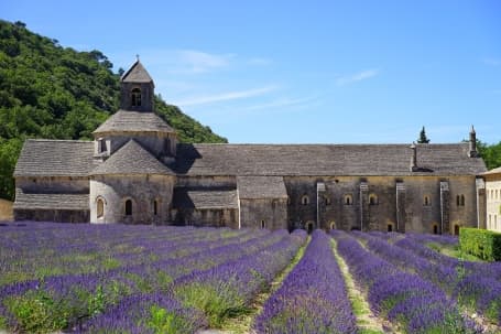 Abația Notre-Dame de Sénanque în Provența