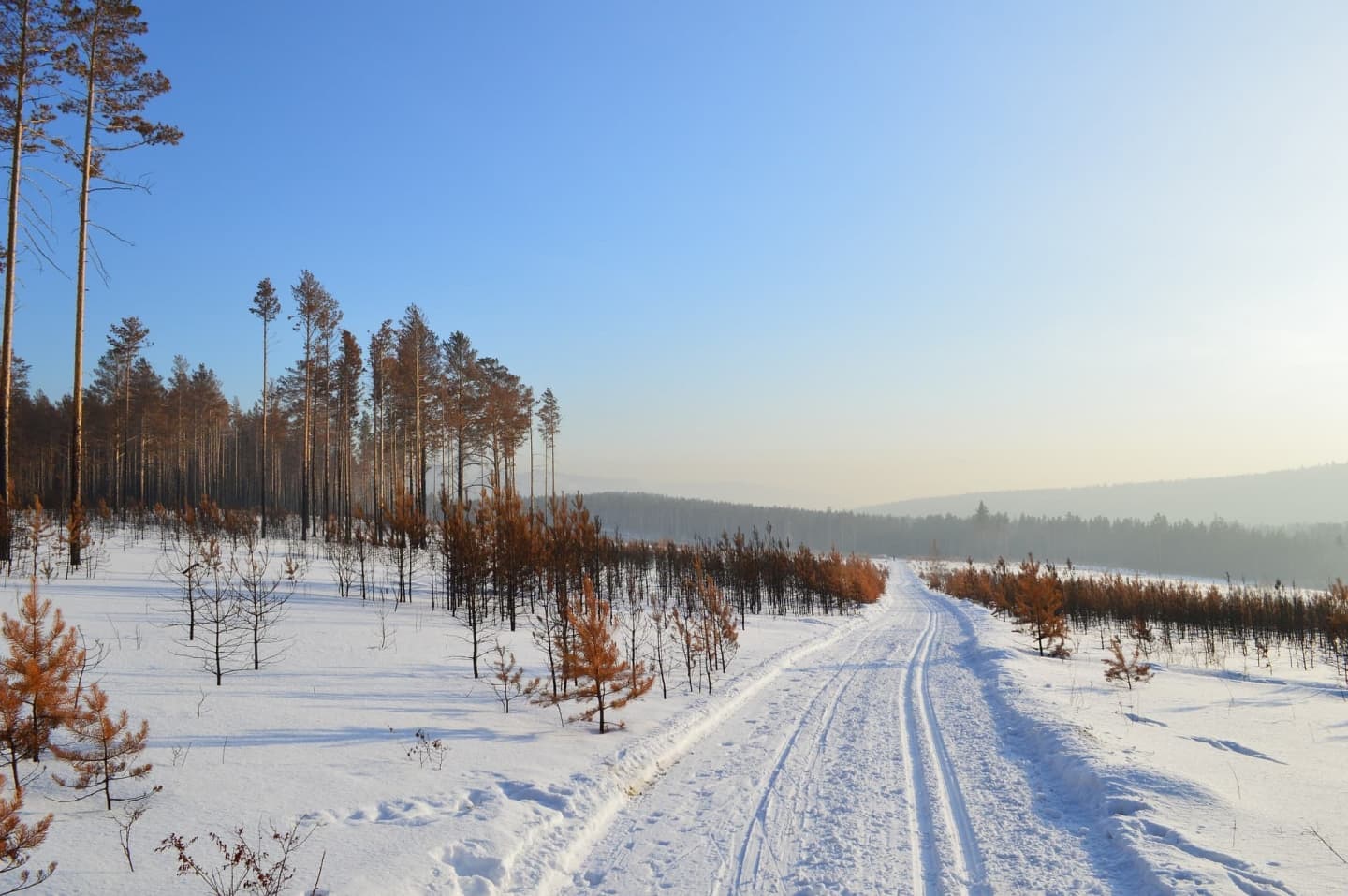 Peisaj tipic de iarnă în tundra Siberiei