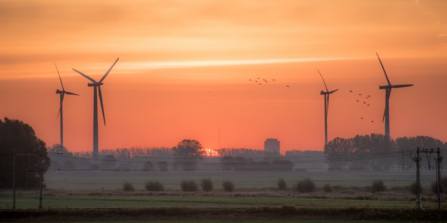 Mori de vânt, caracteristice în Olanda