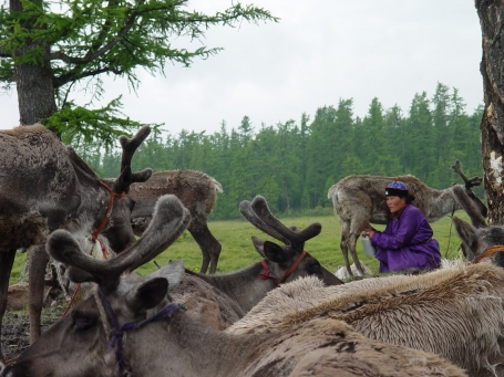 Reni în Mongolia