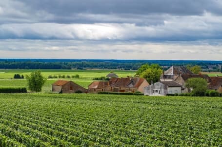 Podgoriile Aloxe-Corton din Saône et Loire