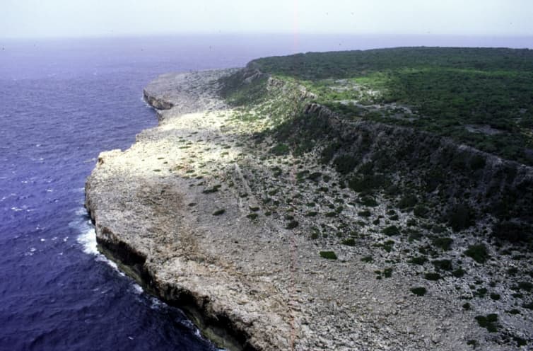 Litoralul Insulei Navassa
