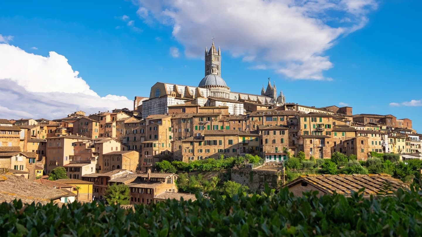 Panoramă cu Domul din Siena pe fundal