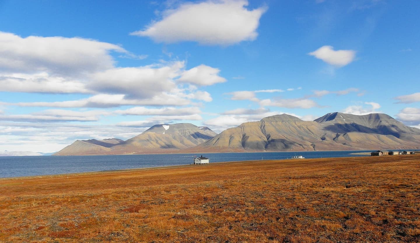 Ghid turistic Svalbard